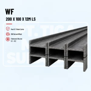 Baja WF 200 X 100 X 5.5 X 8mm – 12m LSI / Import